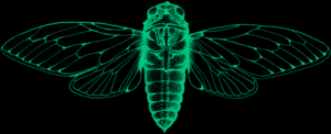 The logo for Cicada Detroit at CicadaDetroit.com, an online ARG or augmented reality game that is taking place in the city of Detroit, Michigan.