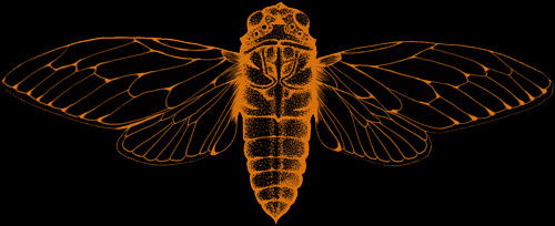 Cicada Detroit Halloween 2025